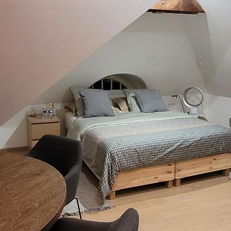 Studio 50M2 Au Bord De L'Eau A Strasbourg Bagian luar foto