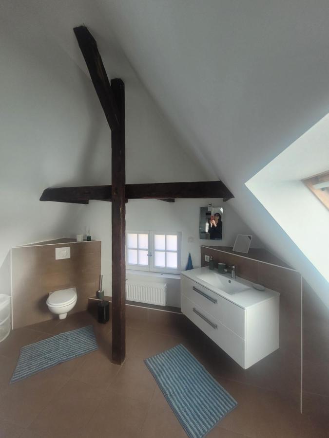 Studio 50M2 Au Bord De L'Eau A Strasbourg Bagian luar foto